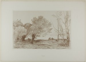 Wilgen en witte populieren door Jean Baptiste Camille Corot