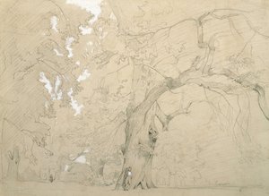Jonge man voor een grote eik door Jean-Baptiste-Camille Corot