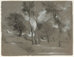 Landschap met bomen