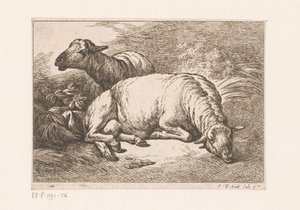 Twee schapen