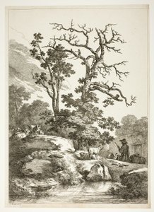 Bucolisch landschap
