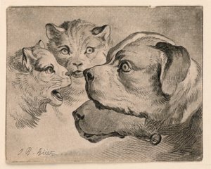 Koppen van katten en honden door Jean Baptiste Huet
