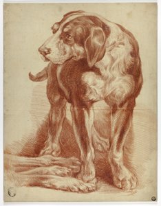 Hound Staand door Jean Baptiste Huet