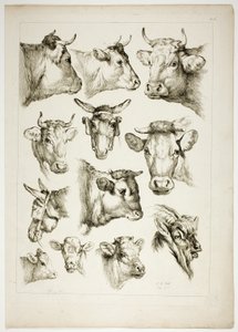 Plaat 35 van 38 uit Oeuvres de J. B. Huet door Jean Baptiste Huet