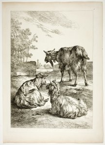 Plaat achttien van 38 uit Oeuvres de J. B. Huet