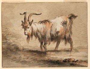 Tekening, Studie van een geit, 1772