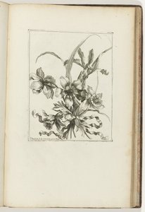 Gebonden boeket door Jean Baptiste Monnoyer