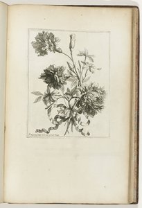Gebonden boeket (Les Petits Bouquets) door Jean Baptiste Monnoyer