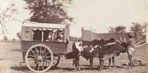 [Campbell Twins in een Shigram, kamp van de gouverneur-generaal] door Jean Baptiste Oscar Mallitte