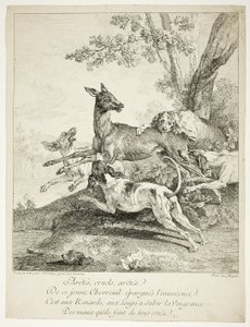 Herten aangevallen door honden door Jean Baptiste Oudry