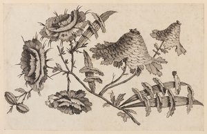 Bloementak, uit "Recueil de Fleurs Chinois"