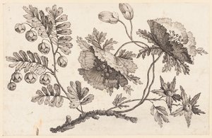 Bloementak, uit "Recueil de Fleurs Chinois" door Jean Baptiste Pillement
