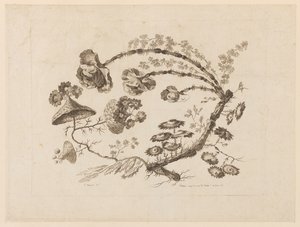 Bloemtakken, uit "Recueil de Differentes Fleurs de Fantaisie Dans le Goût Chinois" door Jean Baptiste Pillement