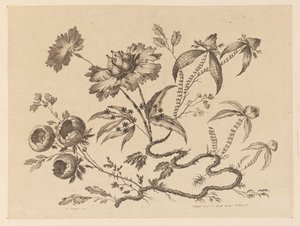 Bloementakken, uit "Recueil de Differentes Fleurs de Fantaisie Dans le Goût Chinois" door Jean Baptiste Pillement