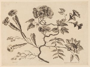 Bloemtakken, uit "Recueil de Differentes Fleurs de Fantaisie Dans le Goût Chinois"
