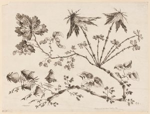 Bloementakken, uit "Recueil de Differentes Fleurs de Fantaisie Dans le Goût Chinois"