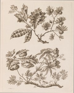 Bloementakken, uit "Verzameling van Verschillende Fantasiebloemen in Chinese Stijl"