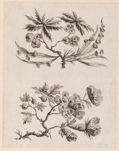 Bloemtakken uit, "Recueil de Fleurs Chinois"