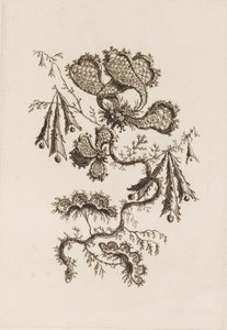 Bloementak, uit 