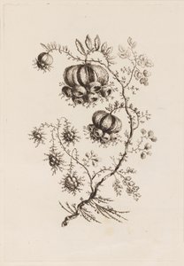 Bloementak, uit "Fleures Persannes"