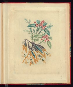 Sierontwerp met Kleine Rode Bloemen en Bessen, uit Nouvelle suite de cahiers de flerurs naturelle a l