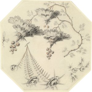 Pagodabloemen en Rozen