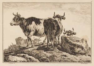 Plaat 6, uit "Cahier de Six Feuilles de Boeufs et Vaches" door Jean Baptiste Pillement