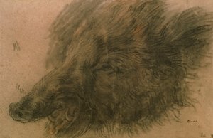 Kop van een wild zwijn door Jean Baptiste Simeon Chardin