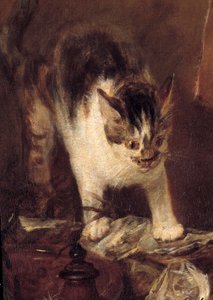 Het stilleven van vis, oesters, kruik. Kat (detail)