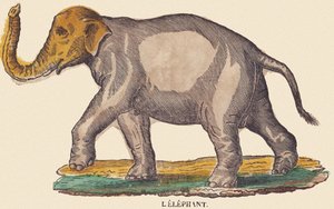 De olifant, c.1840-1852