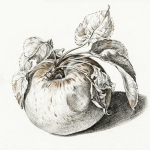 Apple door Jean Bernard