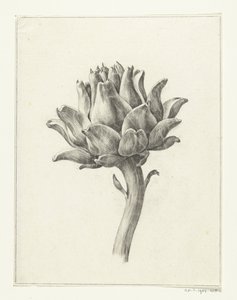 Artisjok door Jean Bernard