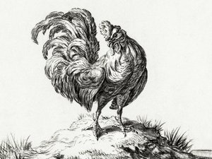 Kip, staande op een heuvel door Jean Bernard