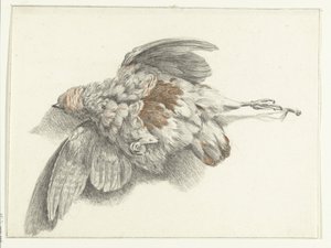 Gevogelte, hangend aan de muur
