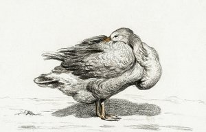 Gans (1816) door Jean Bernard