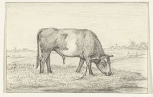 Grazende stier in een wei, naar rechts door Jean Bernard