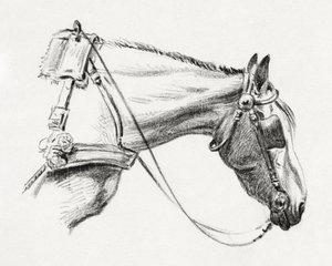 Paardenhoofd (1820) door Jean Bernard