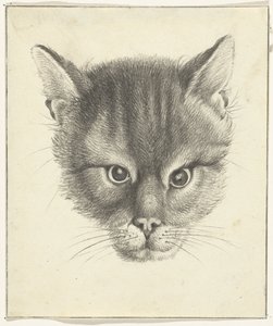 Kattenkop, van voren