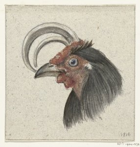 Kop van een haan door Jean Bernard