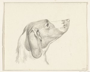 Kop van een hond, naar rechts