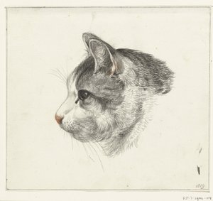 Kop van een kat, naar links