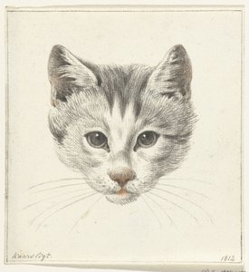 Kop van een kat, van voren gezien bij kaarslicht door Jean Bernard