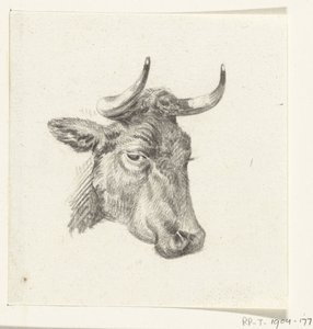 Kop van een koe