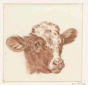 Kop van een koe