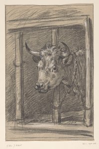 Kop van een koe, door de spijlen van een stal door Jean Bernard