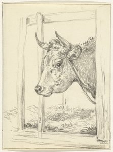 Kop van een koe, in een stal, naar links door Jean Bernard