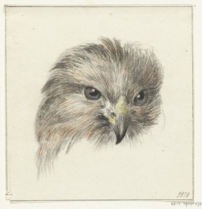 Kop van een roofvogel door Jean Bernard