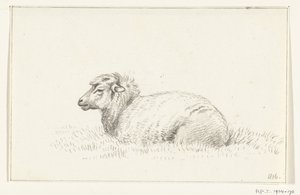 Liggend schaap, naar links