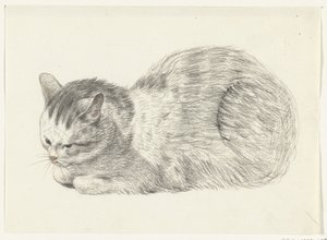 Liggende kat, naar links