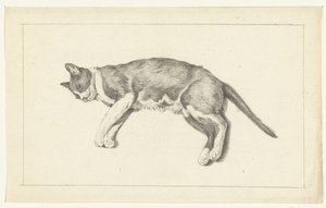 Liggende kat, naar links, van boven gezien door Jean Bernard
